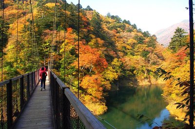 🌳 까마귀 숲 공원(카라스가모리 코엔)